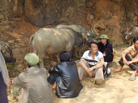 Mô tả ảnh.